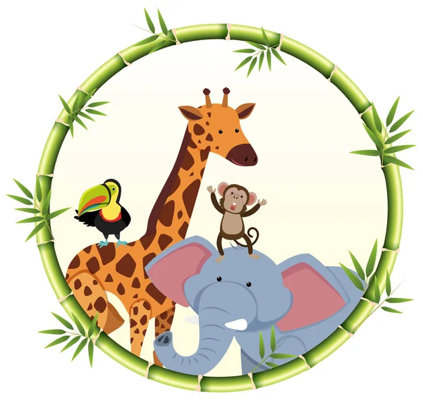 Set Wild Animals Border Illustration — Stock Vector