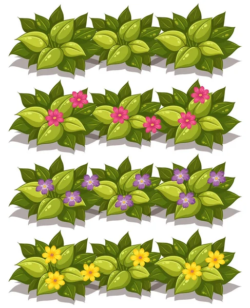 Set Plant Flower Illustration — Stock Vector