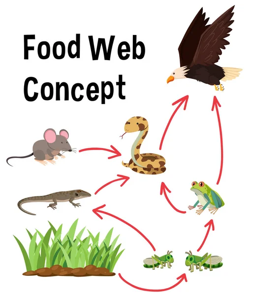 Ciência Alimentar Web Conceito Ilustração — Vetor de Stock