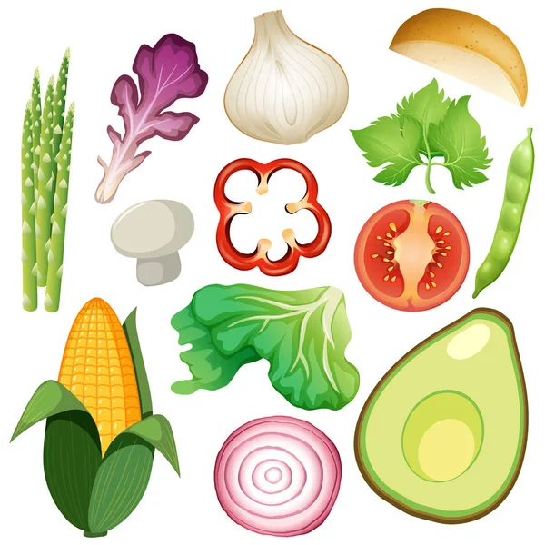 Eine Reihe Von Organischen Gemüseillustrationen — Stockvektor