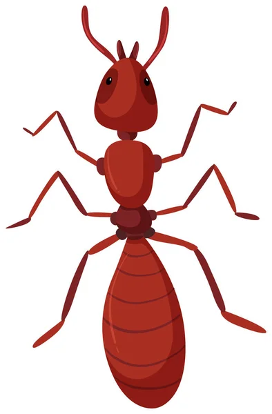 孤立的红色蚂蚁例证 — 图库矢量图片