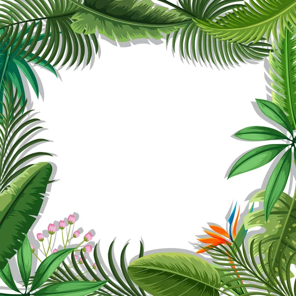 Een Tropische Bladeren Frame Illustratie — Stockvector