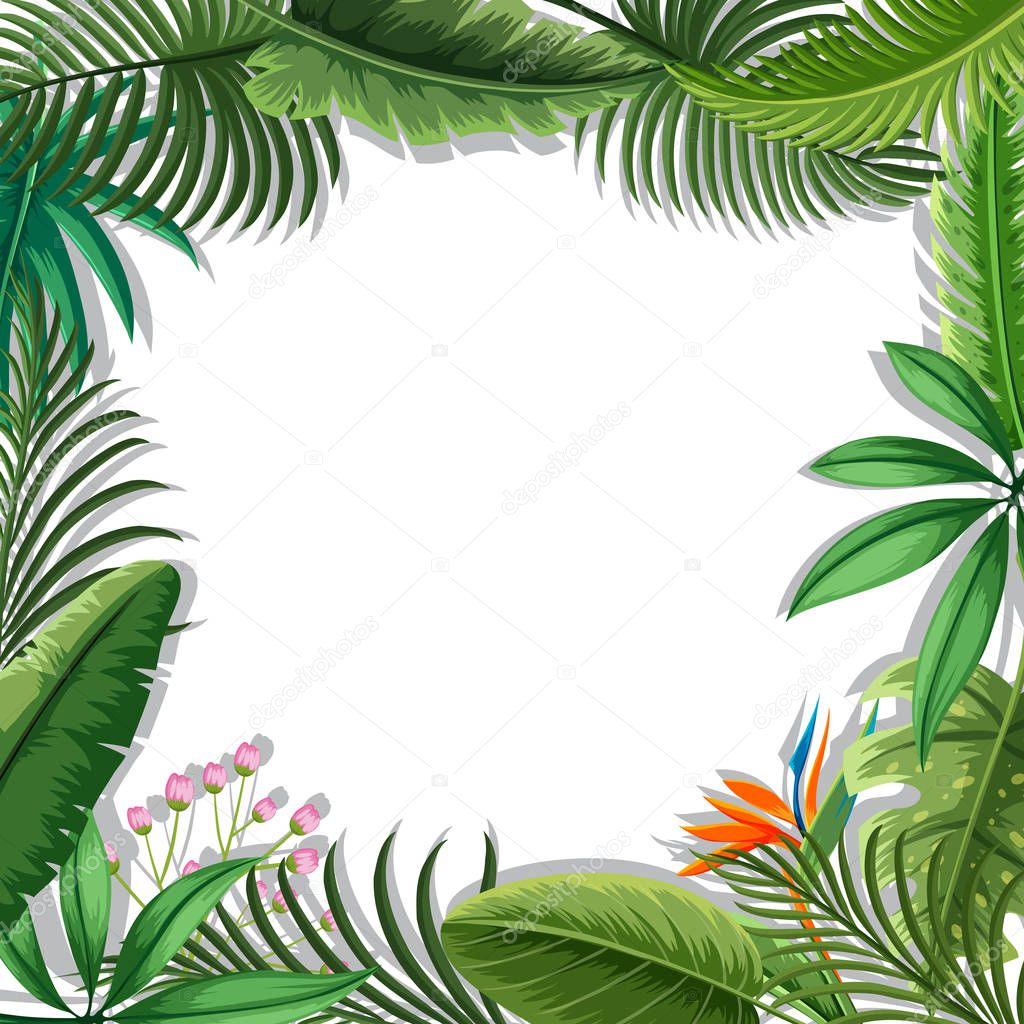 A tropical leaves frame illustration