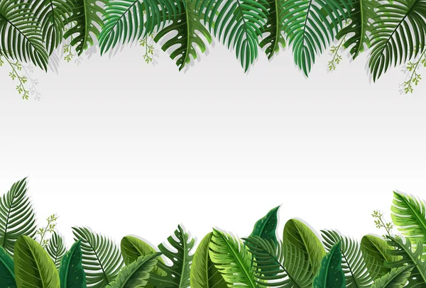 Beautiful palm leaf border illustration