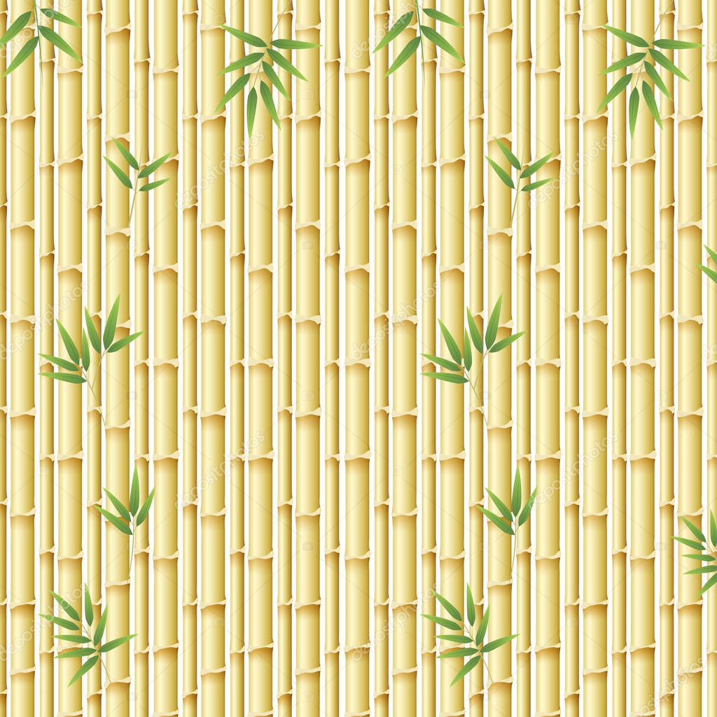 Beautiful nature bamboo template illustration