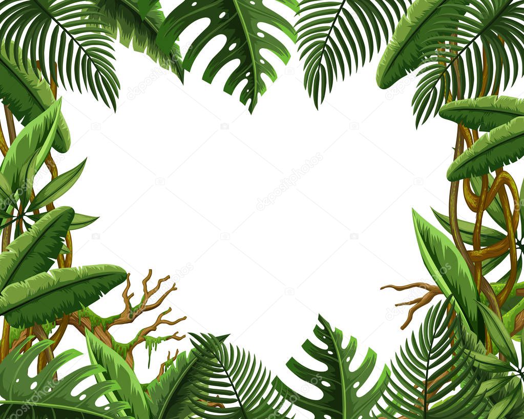 Blank jungle leave frame illustration