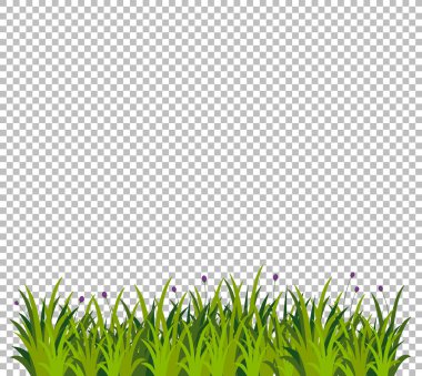 Saydam arka plan illüstrasyon süs için yeşil çim