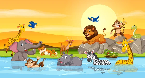 Wilde Tiere Fluss Sonnenuntergang Illustration — Stockvektor