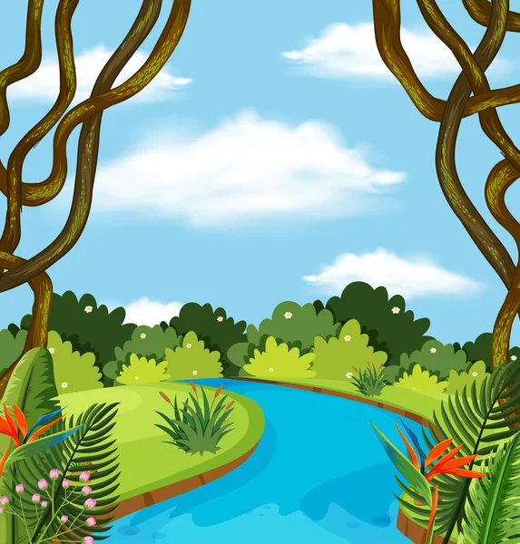 Ein Fluss Der Waldlandschaft Illustration — Stockvektor