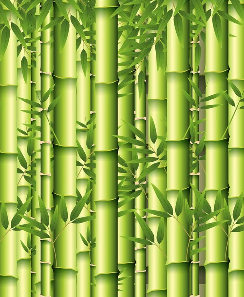 Green Bamboo Background Illustration — Stock Vector