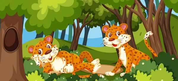 Leopardo Bosque Ilustración — Vector de stock