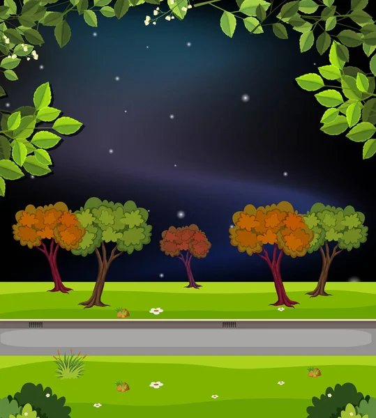 Uma Estrada Natureza Ilustração Noite — Vetor de Stock