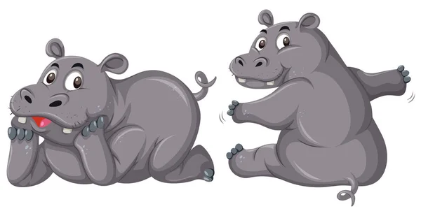 Dos Hipopótamos Lindos Sobre Fondo Blanco Ilustración — Vector de stock