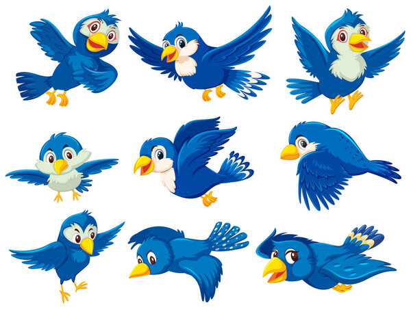 A set of blue bird illustration