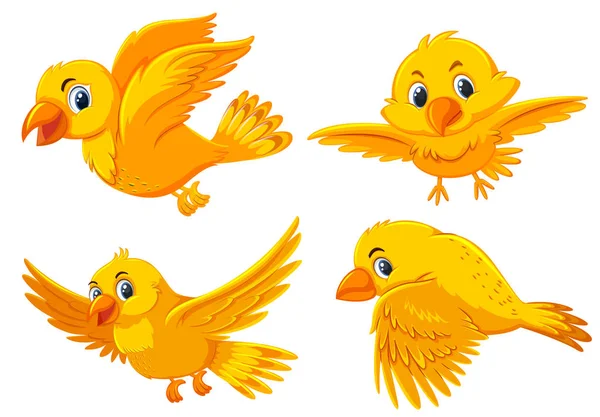 Set Von Niedlichen Gelben Vögeln Illustration — Stockvektor