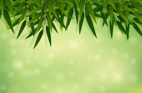 Obrázek Šablony Listu Zelený Bambus — Stockový vektor