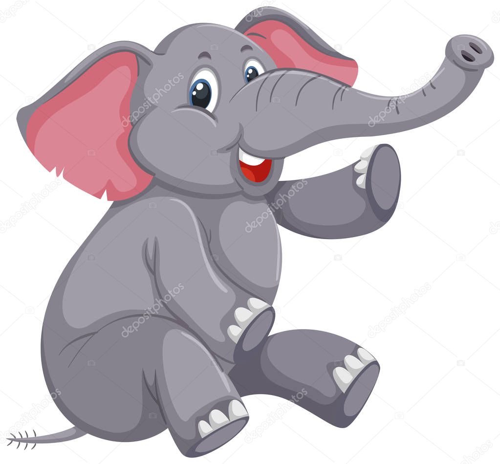 A cute elephant on white background illustration