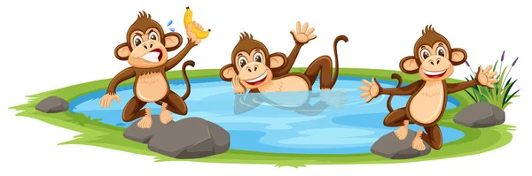 Mono Jugando Agua Ilustración — Vector de stock