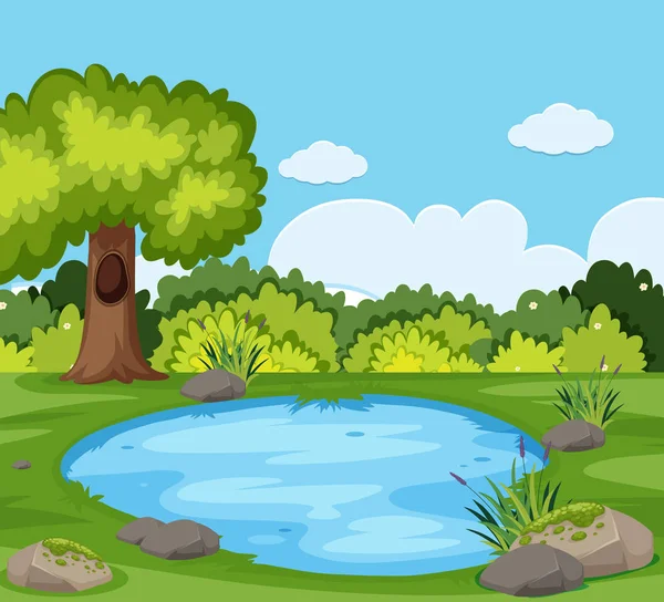 Pond Nature Illustration — Stock Vector