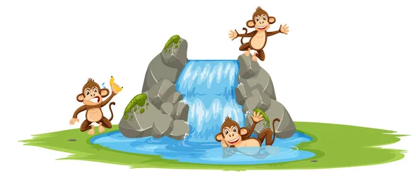 Grupo Monos Ilustración Del Agua — Vector de stock