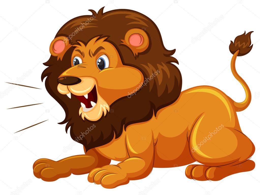 A lion on white background illustration