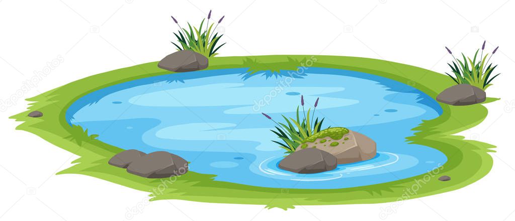 A natural pond on white background illustration