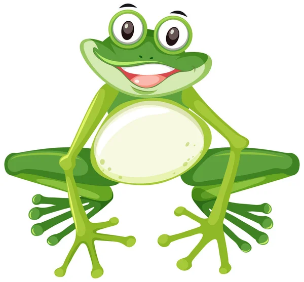 Grenouille Heureuse Sur Fond Blanc Illustration — Image vectorielle