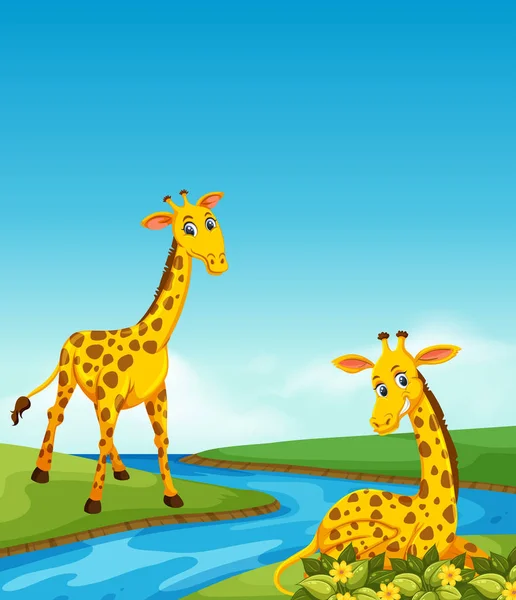 Girafa Morando Lado Ilustração Rio —  Vetores de Stock