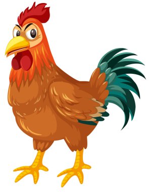 Bir horoz üzerinde beyaz arka plan illüstrasyon