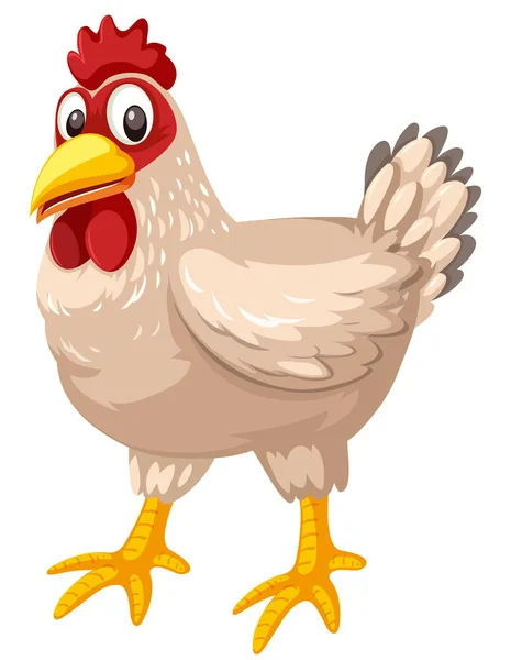 Chicken White Background Illustration — Stock Vector