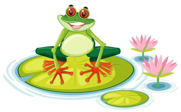 Röd Eyed Lövgroda Lily Pad Illustration — Stock vektor