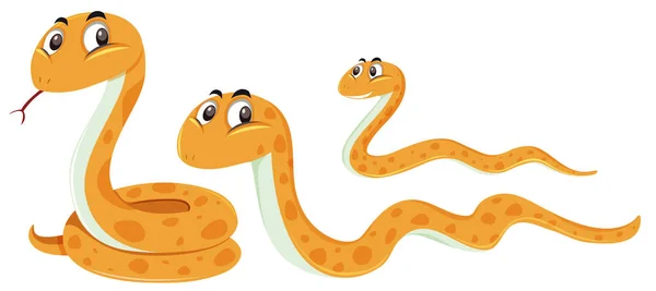 Conjunto Serpente Sobre Fundo Branco Ilustração — Vetor de Stock