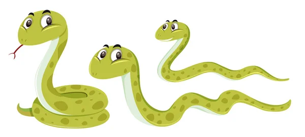 Serpente Com Ilustração Posição Diferente — Vetor de Stock