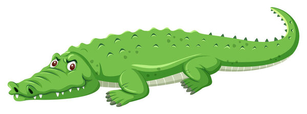 A green crocodile on white background illustration