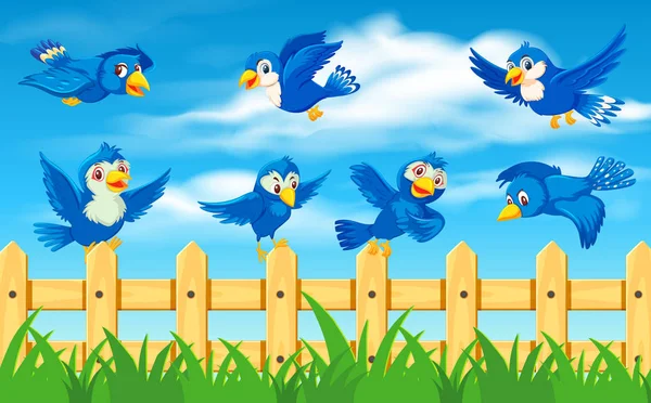 Szczęśliwe Ptaki Charakter Ilustracji — Wektor stockowy