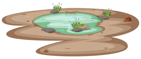 白色背景插图上的小池塘 — 图库矢量图片