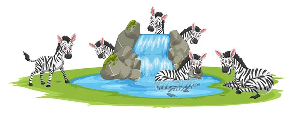 Zebra Lagoa Ilustração —  Vetores de Stock