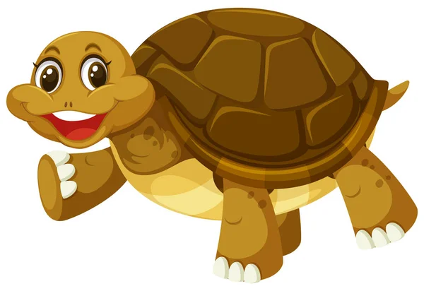 Een Smiley Schildpad Witte Achtergrond Afbeelding — Stockvector
