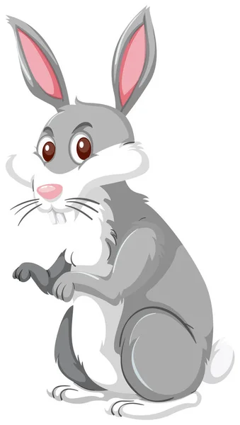 Rabbit White Background Illustration — Stock Vector