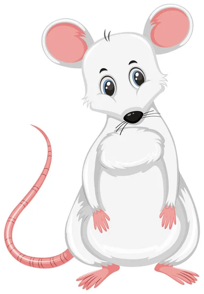 Rat Blanc Sur Fond Blanc Illustration — Image vectorielle