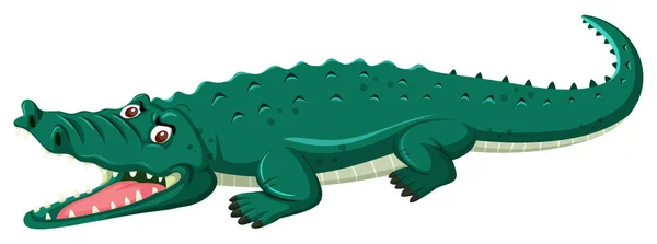 Krokodil Vit Bakgrund Illustration — Stock vektor