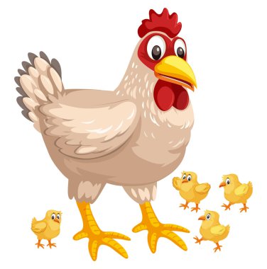 Tavuk ve piliç illüstrasyon