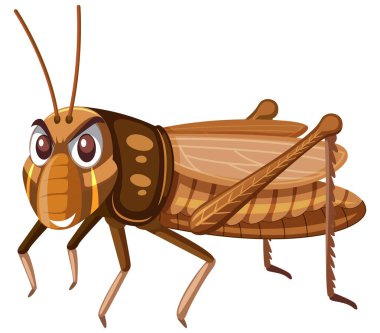 Beyaz arka plan illüstrasyon üzerinde kahverengi bir çekirge