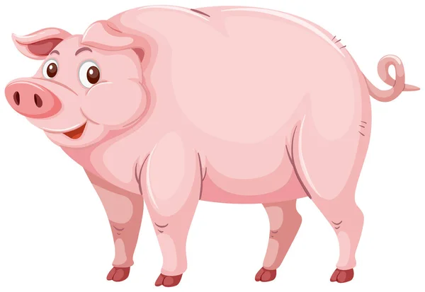 Niedlichen Rosa Schwein Charakter Illustration — Stockvektor