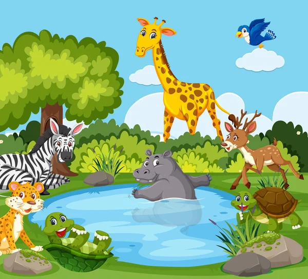 Wild Animals Pond Illustration — Stock Vector