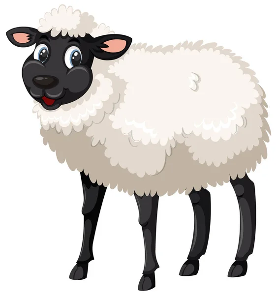 Cute Black White Sheep Illustration — Stock Vector