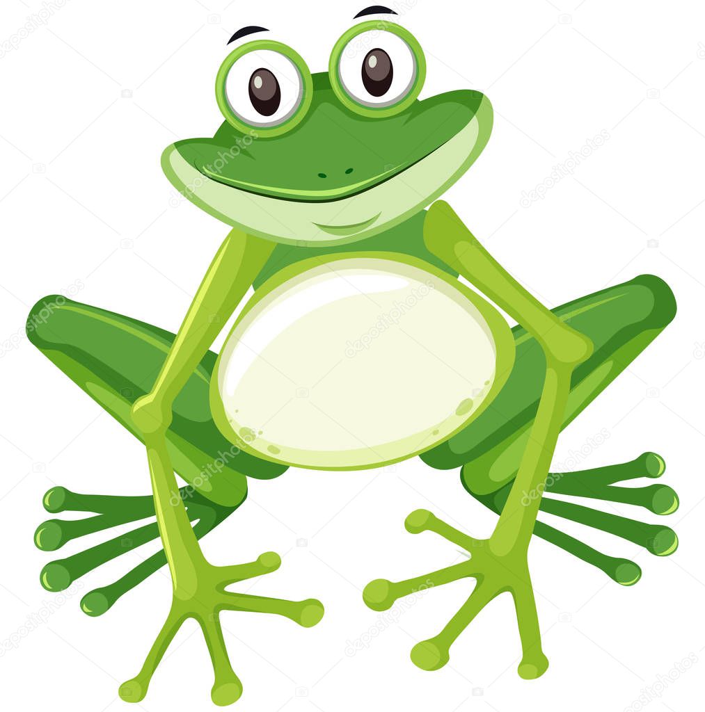 Cute green frog character illustration