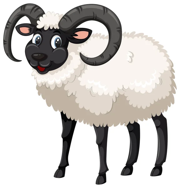 Černá Ovce Bílé Pozadí Obrázku — Stockový vektor