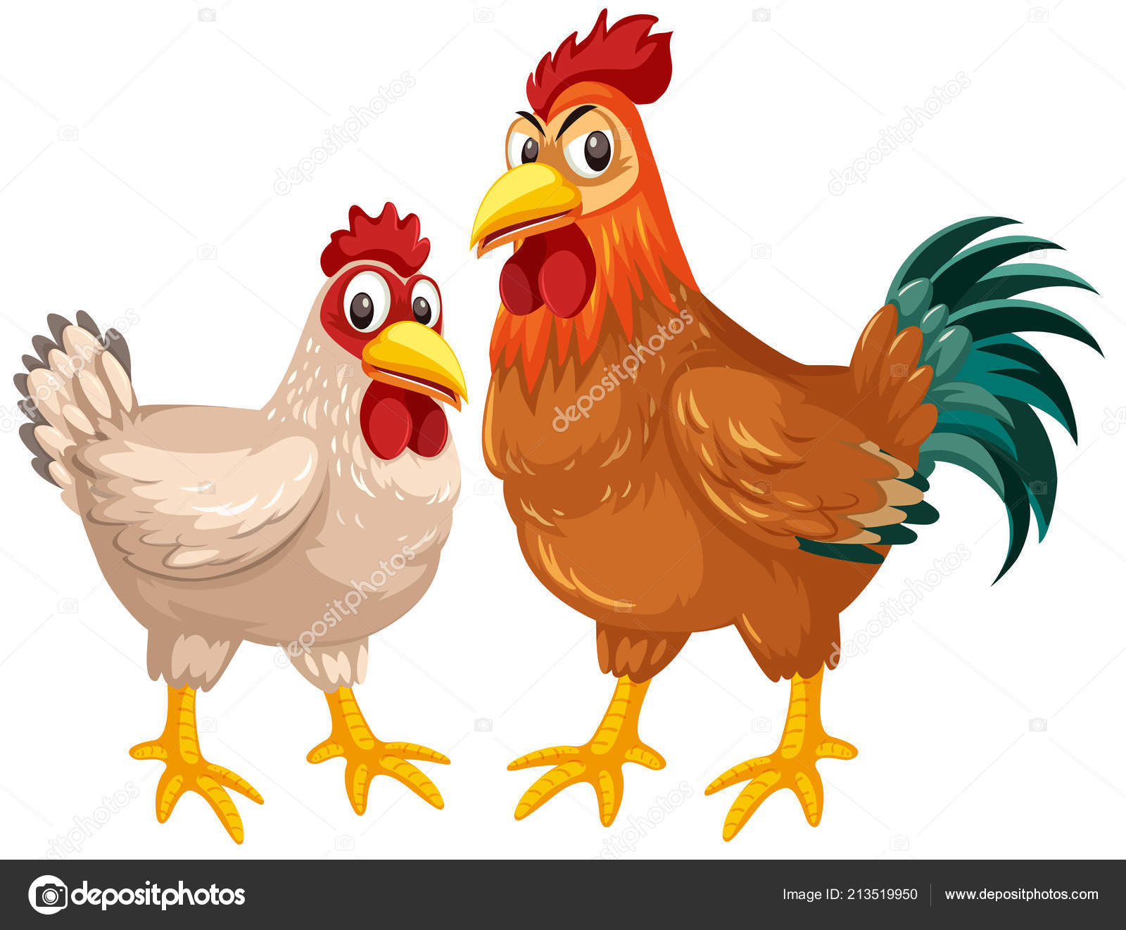 Hen Rooster White Background Illustration Stock Vector Image by ©brgfx #213519950 Hen Rooster White Background Illustration Stock Vector Image by ©brgfx #213519950