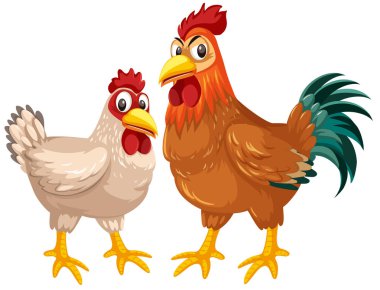 Tavuk ve horoz üzerinde beyaz arka plan illüstrasyon